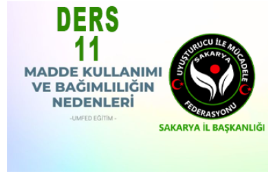 Ders 11 | Madde Kullanımı ve Bağımlılığın Nedenleri